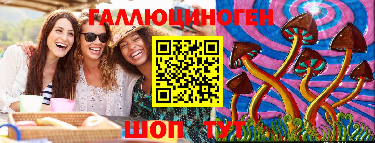 Галлюциногенные грибы Psilocybe Черемхово