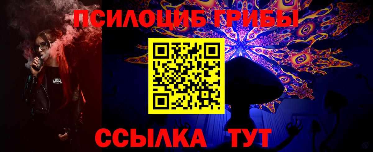 Галлюциногенные грибы MAGIC MUSHROOMS  Вход с VPN  Черемхово 